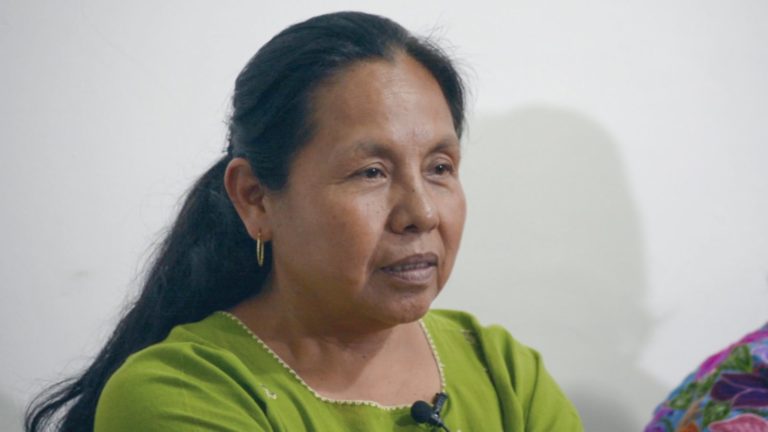 Entrevista con María de Jesús Patricio Martínez y el Concejo Indígena de Gobierno