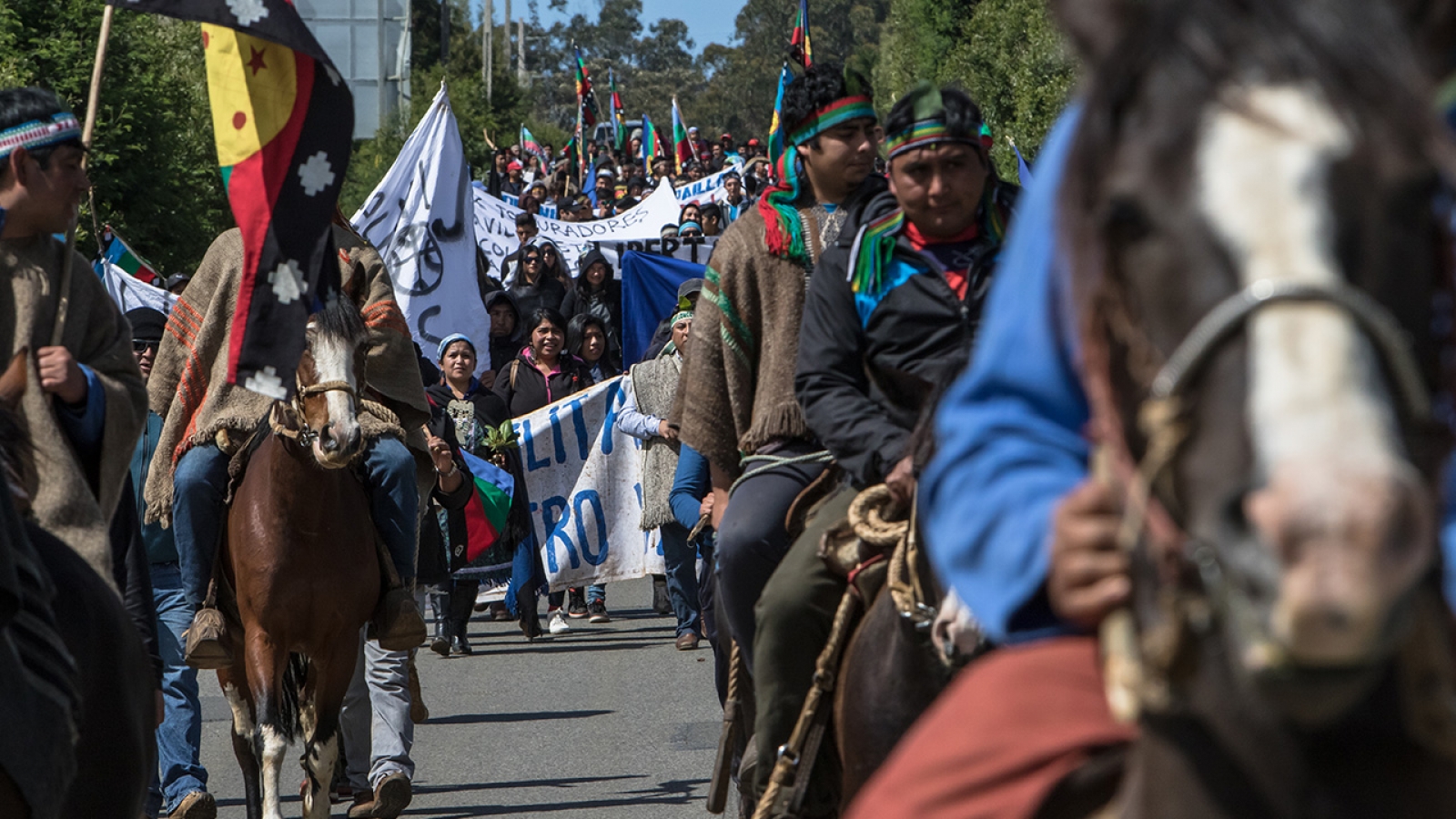 Entre balas, cárceles y muerte se sigue levantando el pueblo Mapuche