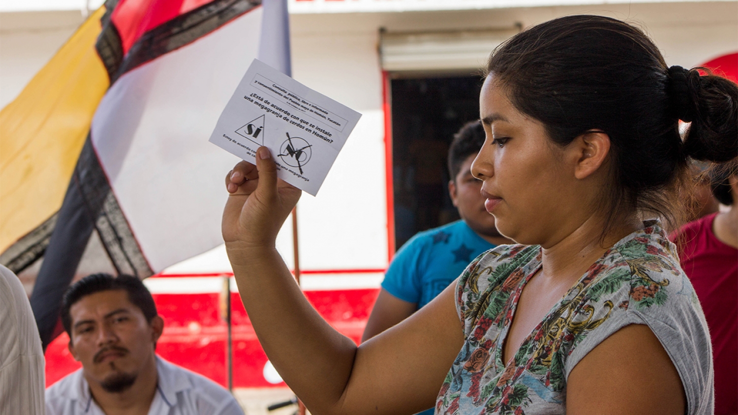 Pueblo Maya de Homún realiza autoconsulta frente a megaproyecto porcícola