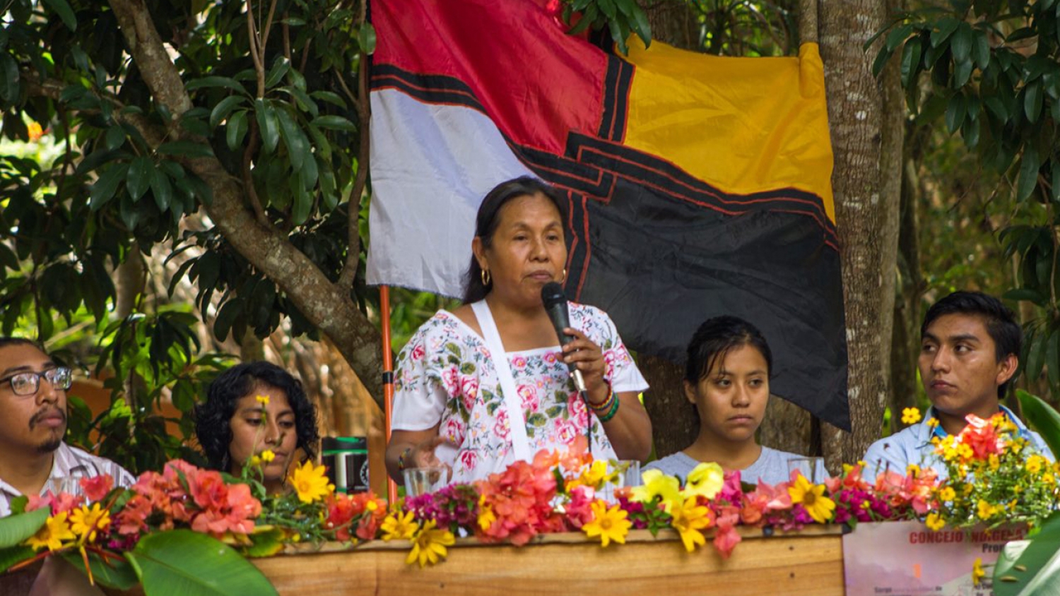 “Si nos despojamos de la tierra, nos estamos despojando de la vida”: Marichuy, vocera del CIG, en Yucatán