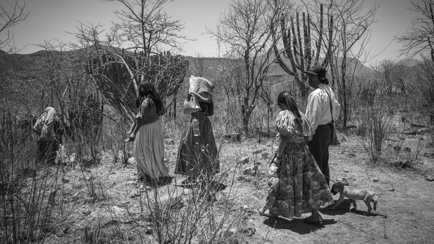 Fotorreportaje: Azqueltán y la defensa del territorio en el norte de Jalisco, México