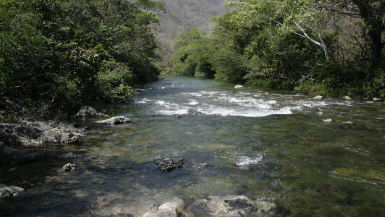 Gobierno Federal miente, al menos 4 concesiones mineras vigentes y permisos ambientales en trámite para empresa canadiense en los Chimalapas