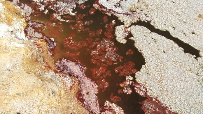 Se agota el oro y la plata en Oaxaca; se lo llevó Minera Cuzcatlán y de paso contaminó el río