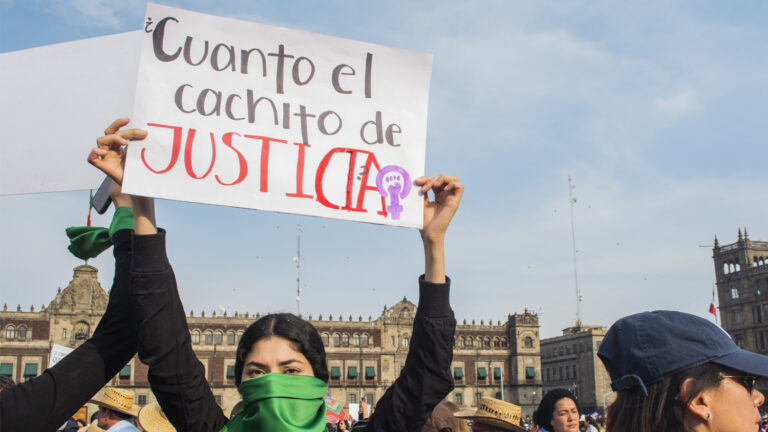 ¿#GraciasINE? El logro es de las feministas